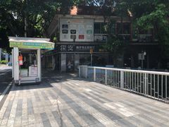 -探窝·竹笙椰子鸡(杨箕店)