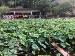 -韶山毛泽东同志故居