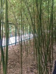 -北京英煌医疗美容