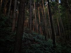 -百杖潭景区