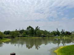 -桤木河湿地公园