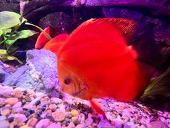 -上海海洋水族馆