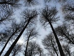 -硗碛藏寨·神木垒景区