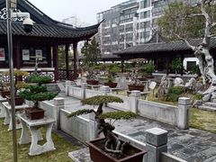 -泰州凤城河风景区-泰山公园