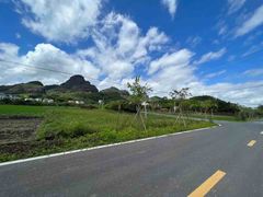 -越王山风景区