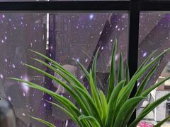 -海底捞火锅(老城根店)