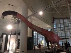 -广东科学中心科技影院