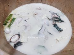 招牌养生锅-渔小生蒸汽石锅鱼(印象城店)