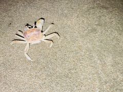 -兄弟纯天然海鲜城