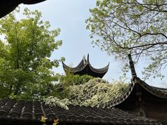-芥子园