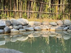 -三江森林温泉度假区