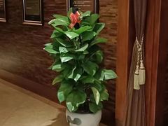 -尚康·按摩SPA·经络养生会所(东城总店)