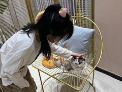 -藏猫猫咖啡主题馆(中央大道店)