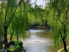 -西安市长乐公园