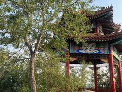 -白水寺森林公园