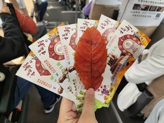 -龙口南山旅游景区