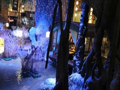 -淀里船宴(卓达店)