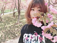 -石家庄市植物园