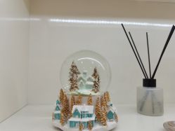 -YESIDO椰岛造型