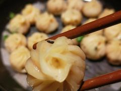 -拈菜(观音桥阳光世纪店)