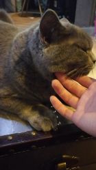 -飛凡TATTOO纹身•原创