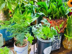 -何兮花店·气球派对鲜花店(马桥银春路万科城店)
