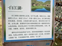 -广州白江湖森林公园
