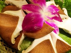 猪肚菌-盡膳口福跷脚牛肉火锅(合生汇购物中心店)