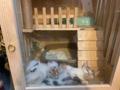 -友达面馆·酸菜鱼面(钱塘区店)