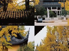 -红梅公园