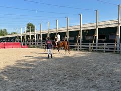 -北京群众马术培训基地