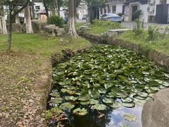 -九龙潭景区
