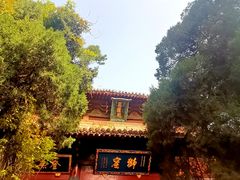 -洛阳白马寺