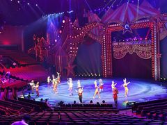 -珠海横琴长隆《卡卡虎奇遇记》