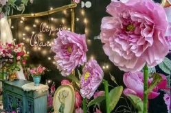 -保定金沙芝柏婚礼策划