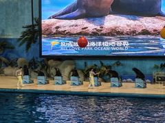 -泉城欧乐堡海洋极地世界