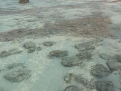 -班拉雅潜水度假村
