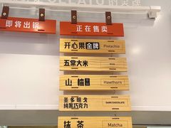 -野人先生现做冰淇淋(西安赛格店)