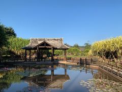 -中国科学院西双版纳热带植物园