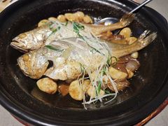 -有喜胶东小馆(超极合生汇太申祥和店)