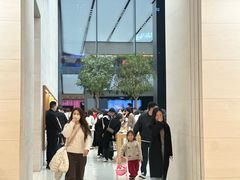 -Apple零售店(苏州店)