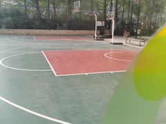 -沈坚强游泳俱乐部(长征分部)