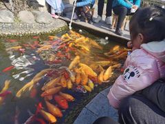 -成飞公园