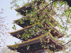 -黄鹤楼