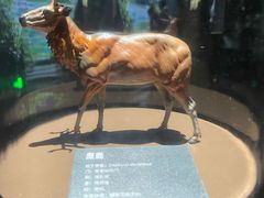 -中国湿地博物馆
