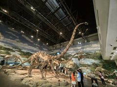 -自贡恐龙博物馆