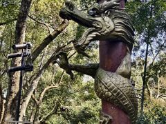 -杭州黄龙洞
