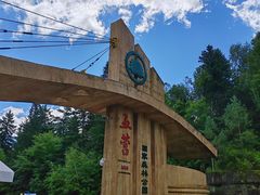 -五营红松林海景区