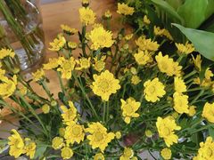 -花里花店(唐镇阳光天地店)