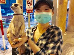 -清迈夜间动物园